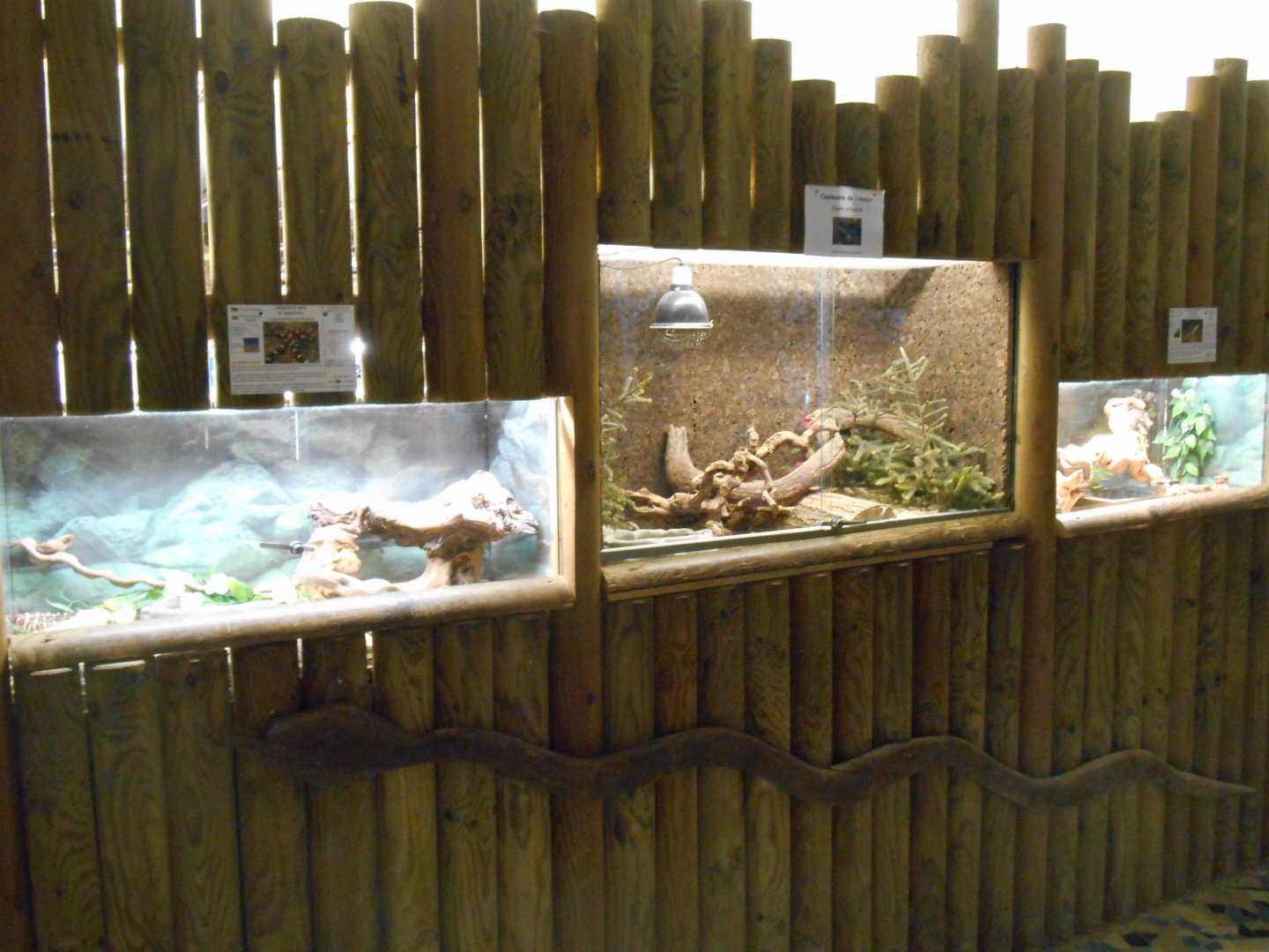 Reptiles House