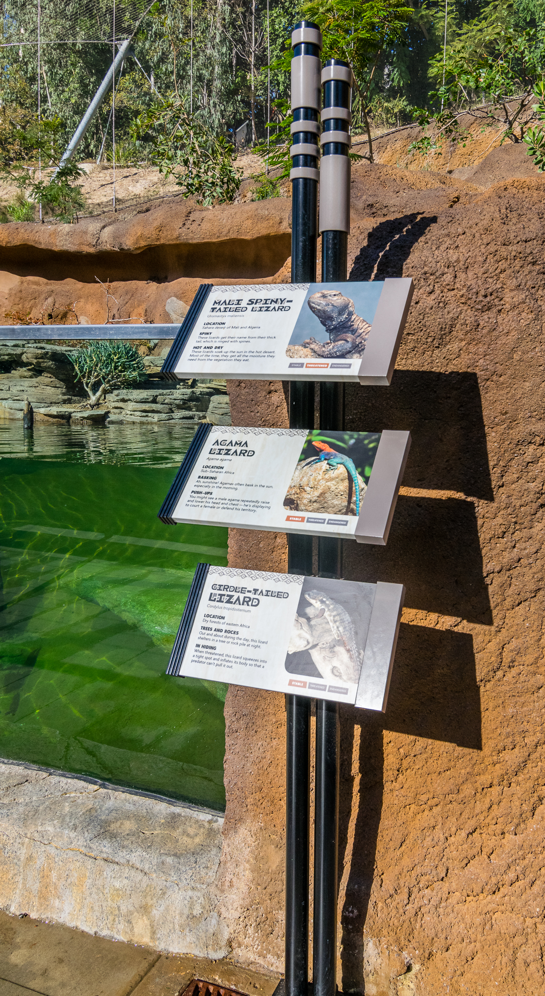 Reptiles inside aviary.