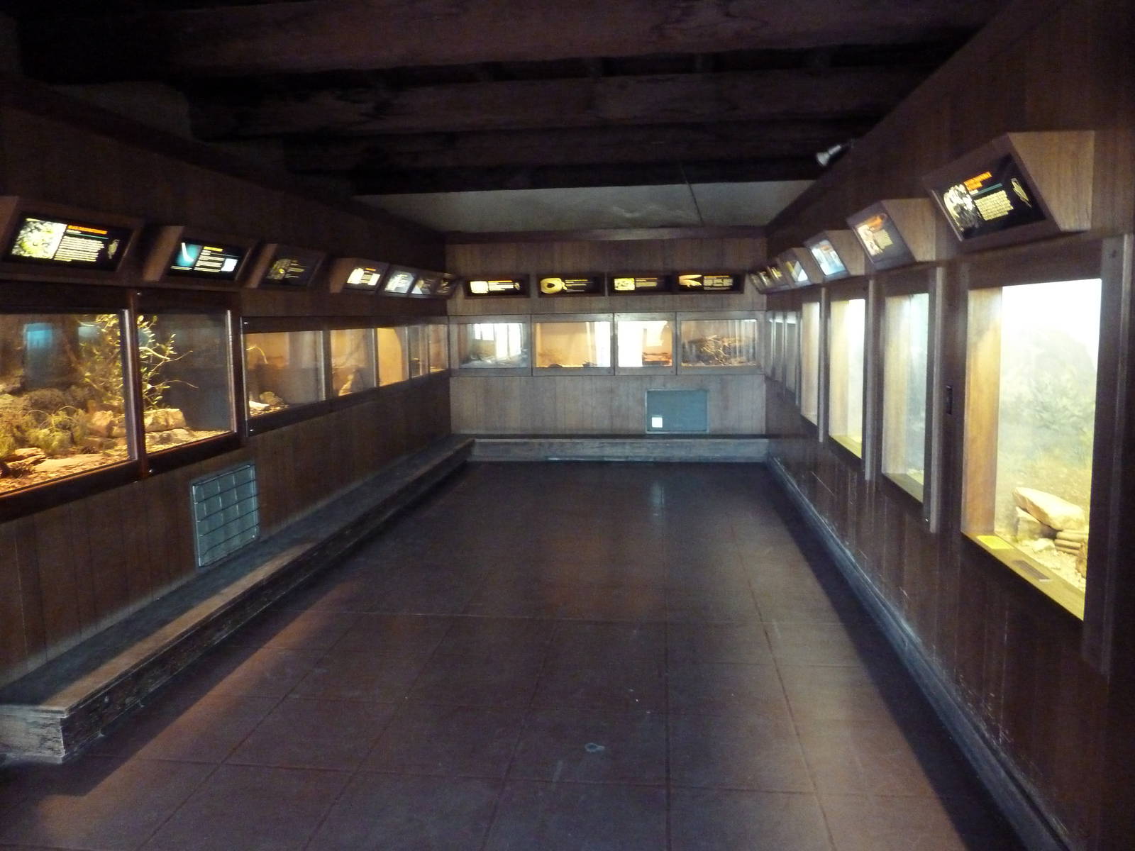 Reptiles + Invertebrates House