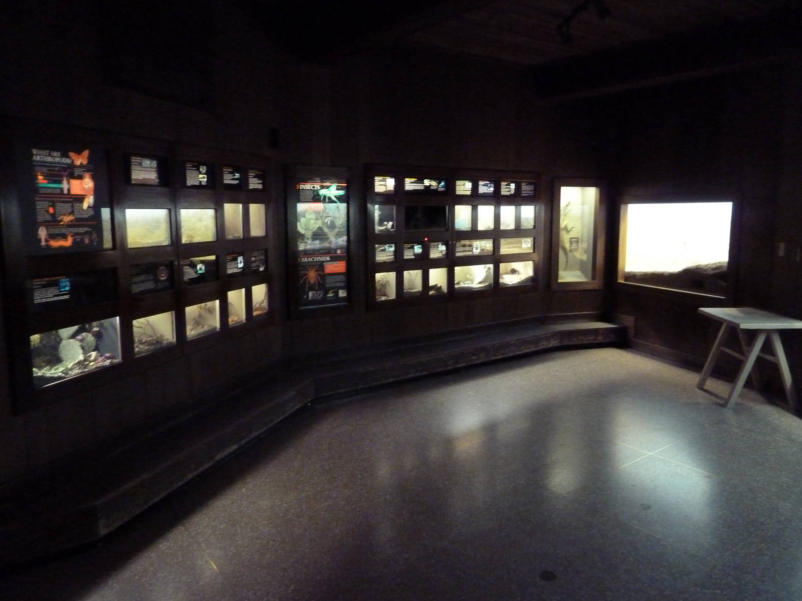 Reptiles + Invertebrates House