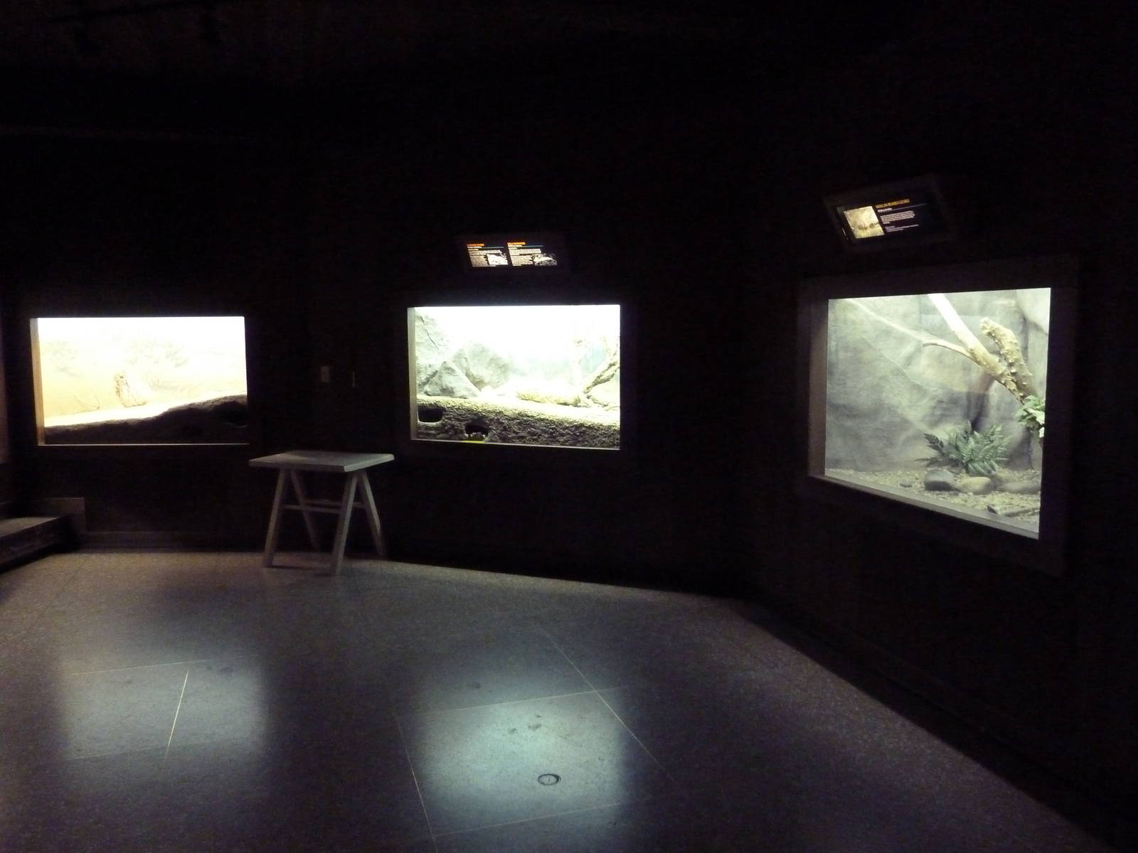 Reptiles + Invertebrates House