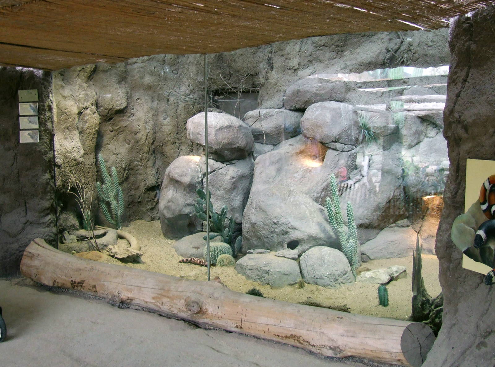 Reptiles of Sea of Cortez, Oceanium