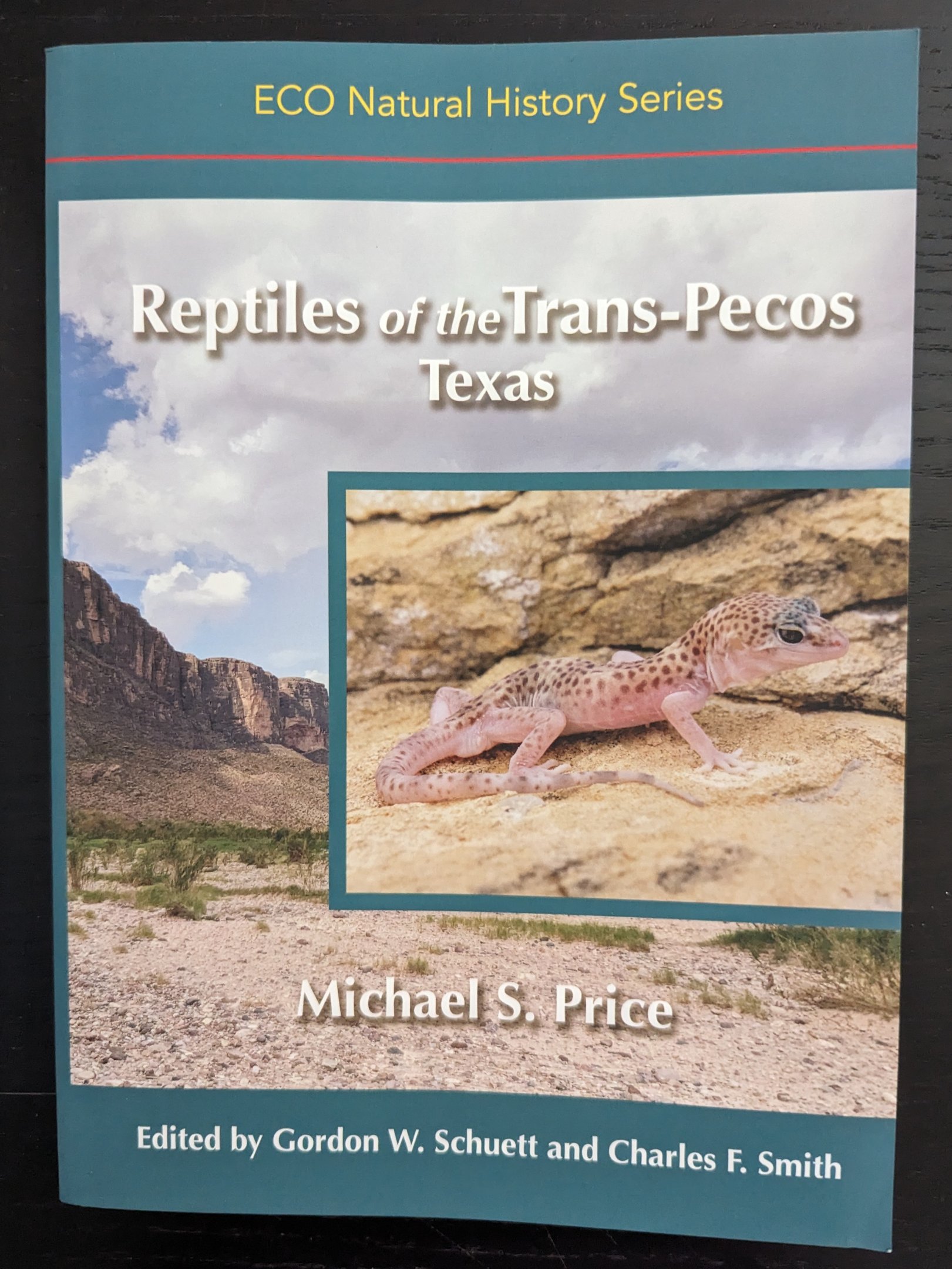 Reptiles of the Trans-Pecos Texas