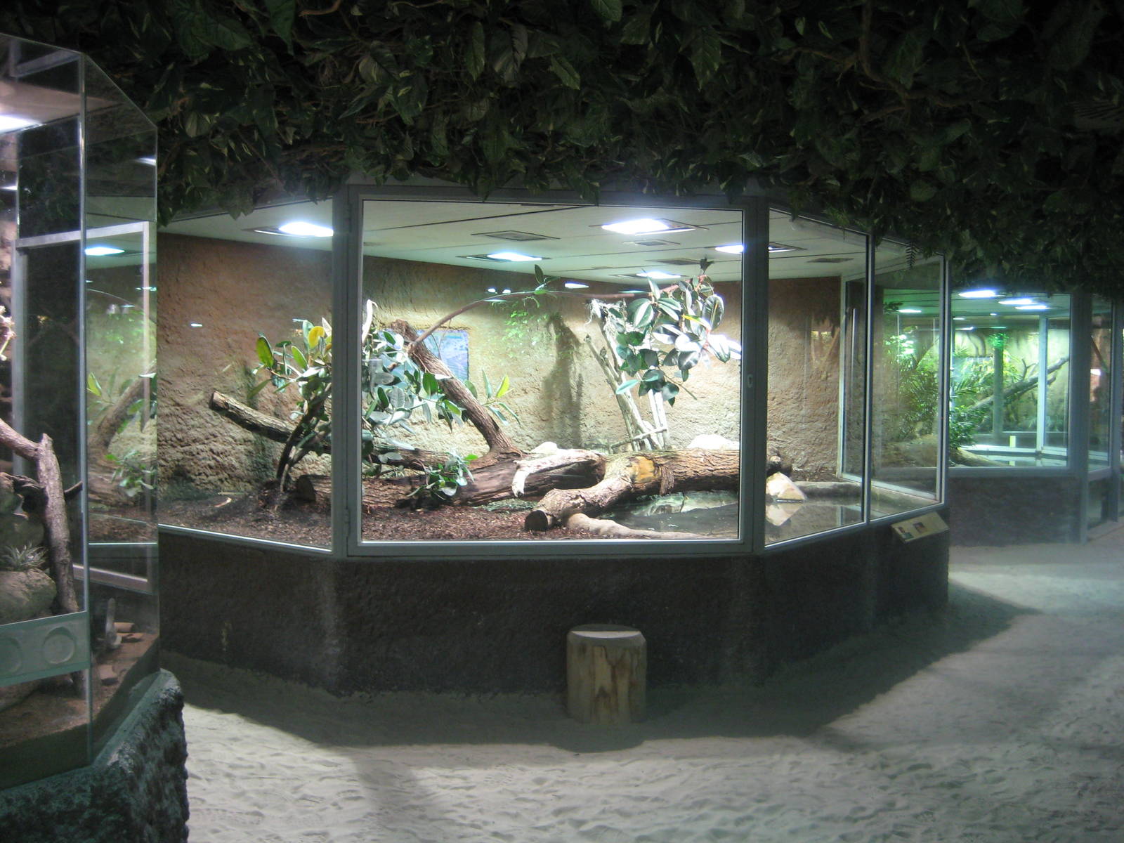 Reptilezoo landau. Anaconda Exhibit