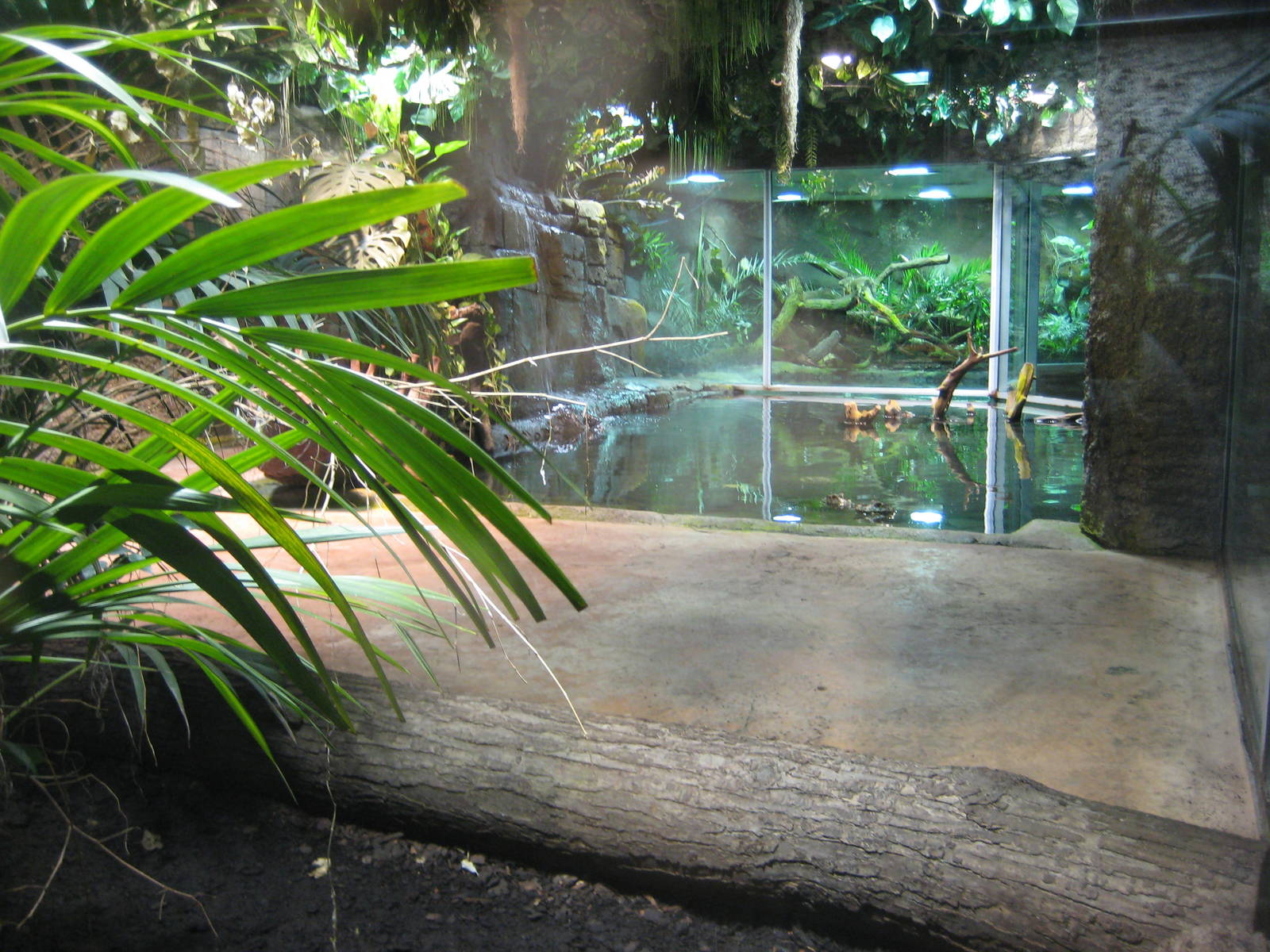 Reptilezoo Landau.Crocodile Exhibit