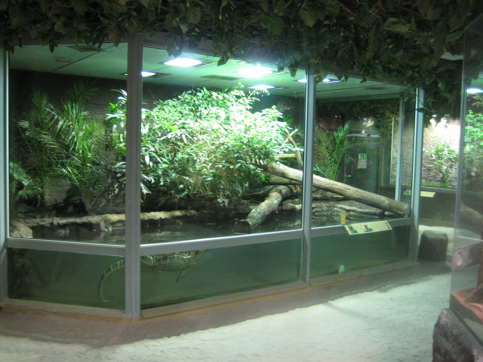 Reptilezoo Landau. Water Monitor exhibit