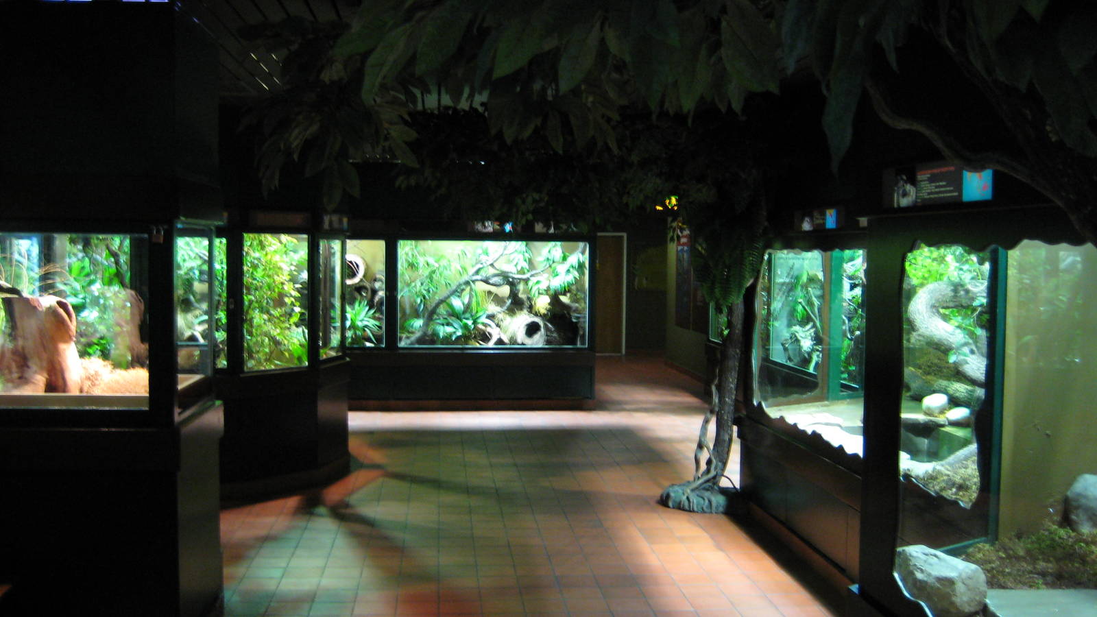 Reptilezoo Visitor Room