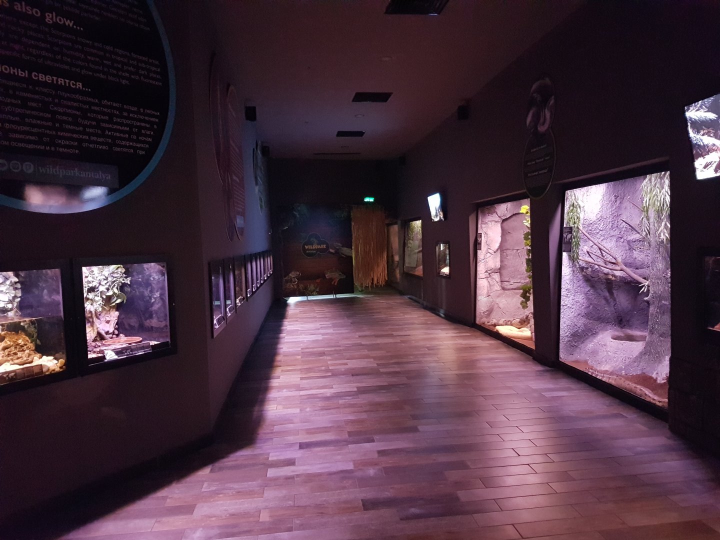 Reptilian-enclosures