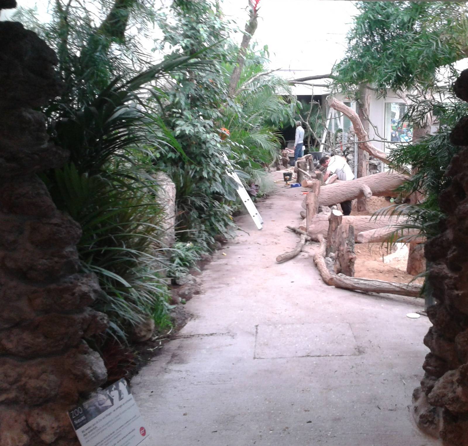 Reptilian walk-through from the inside