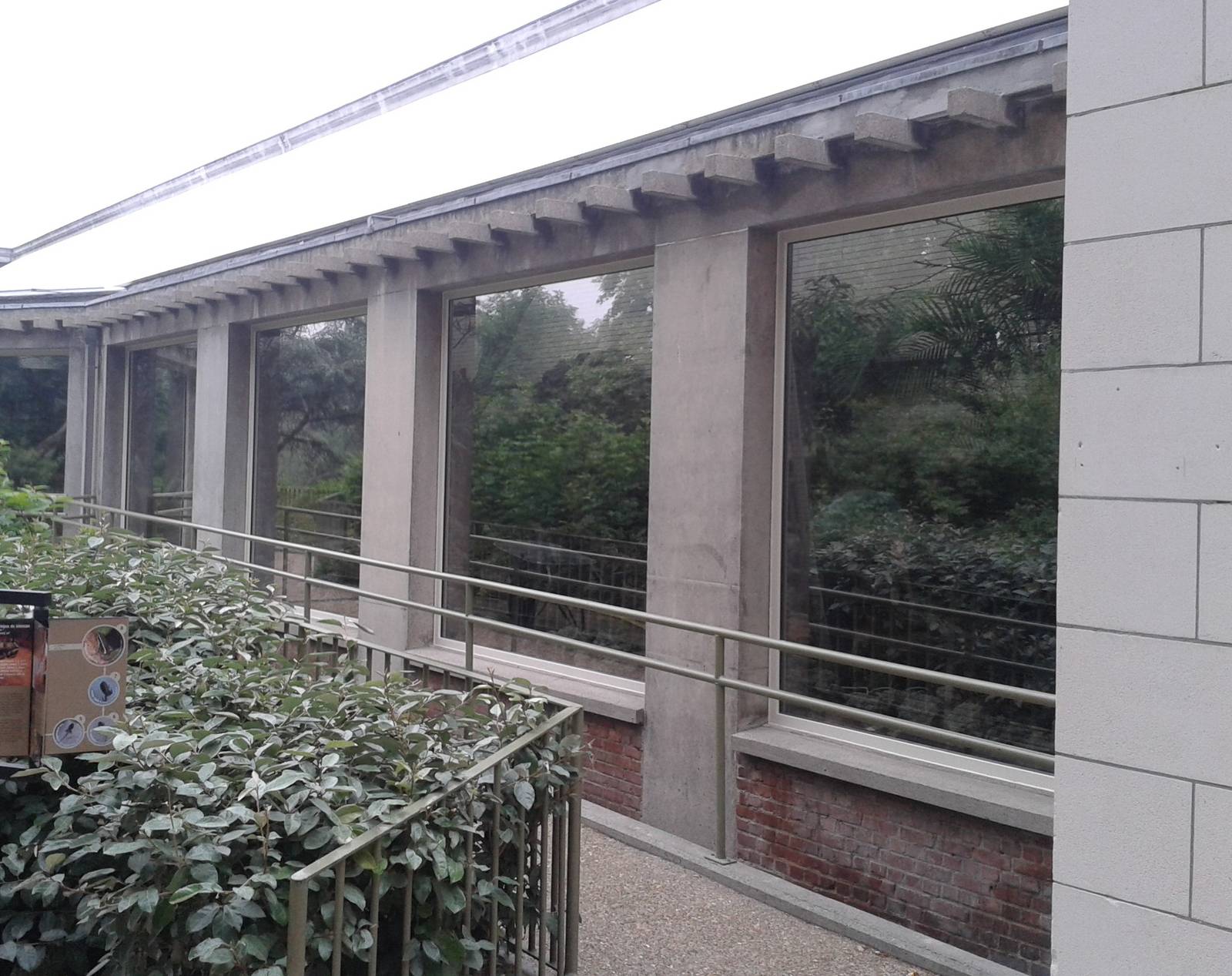 Reptilian walk through from the outside