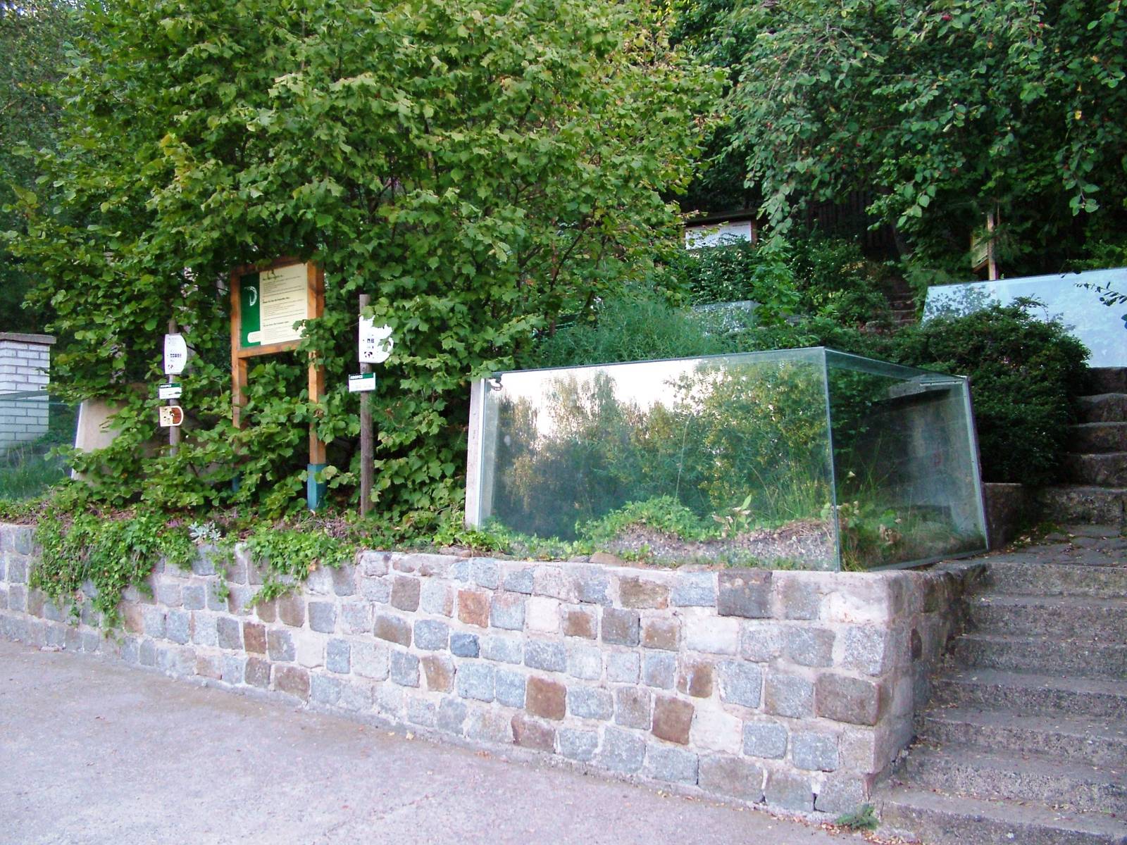 Reptiliaries at Decin, 28/08/12