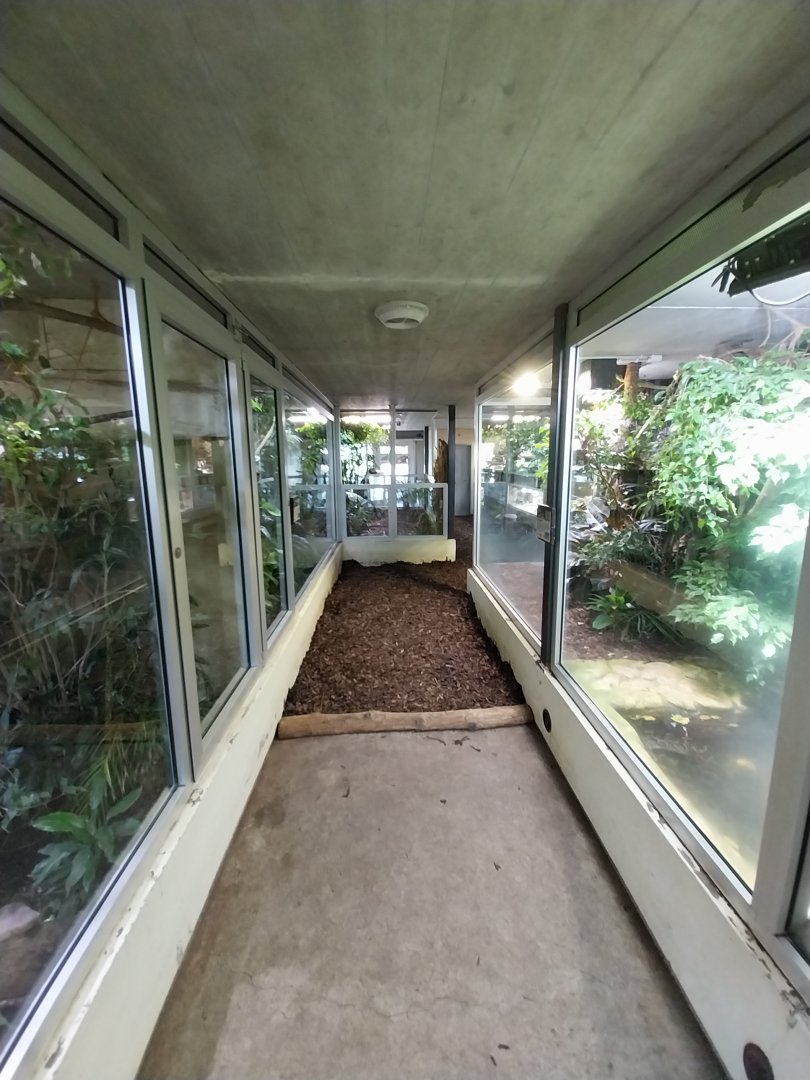 Reptilienhaus - General view