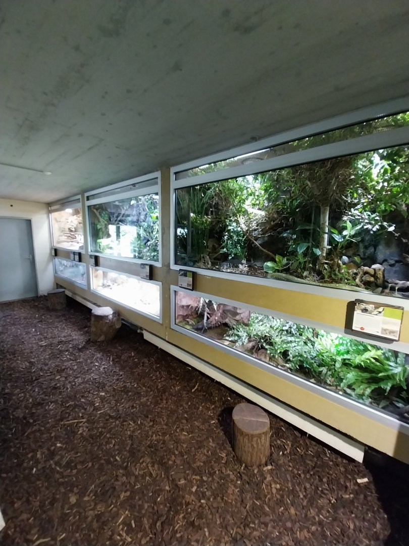 Reptilienhaus - Terrariums for smaller reptiles