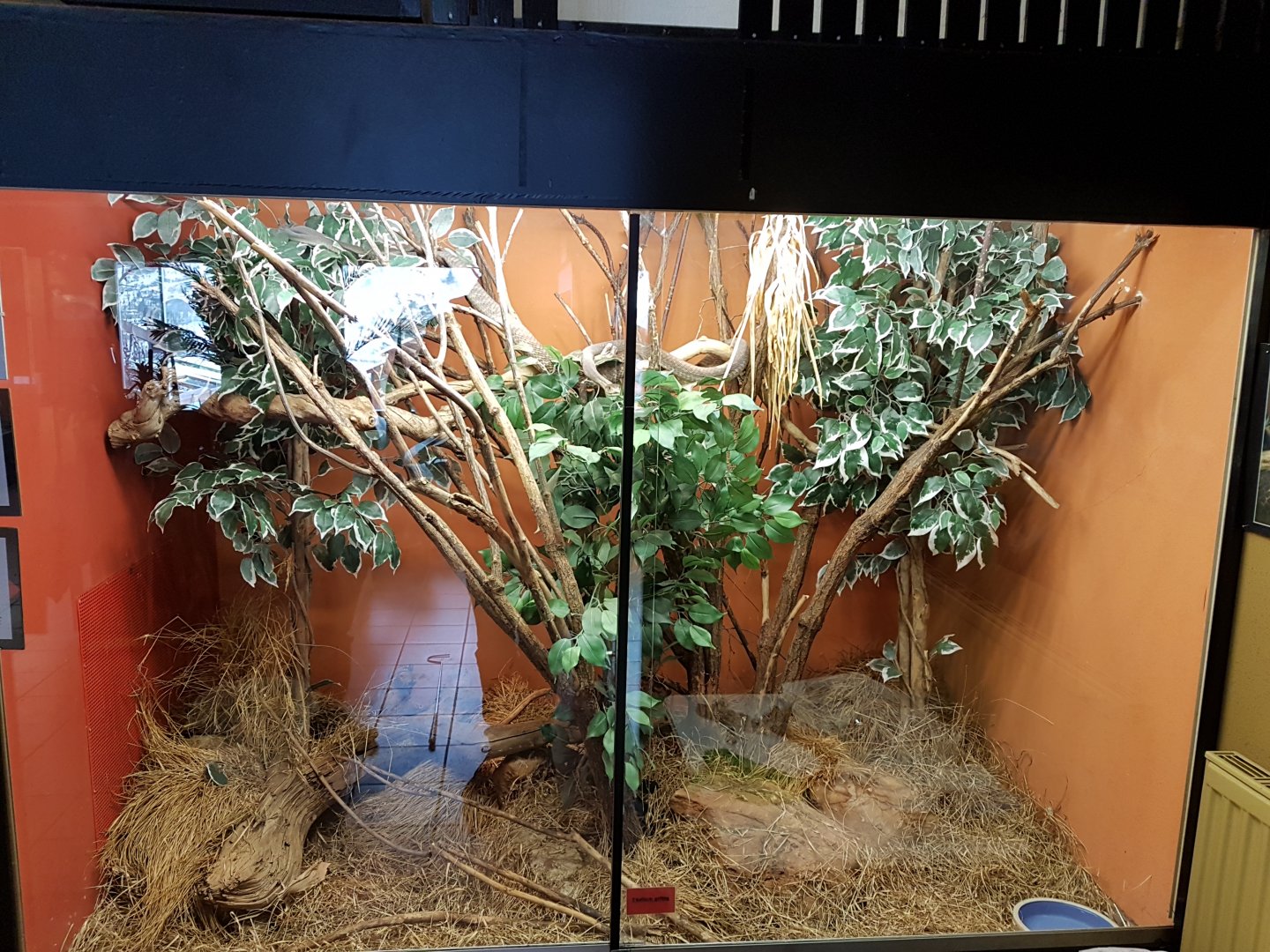 Reptilienzoo Nockalm