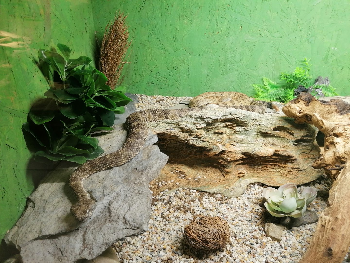 Reptilienzoo Scheidegg