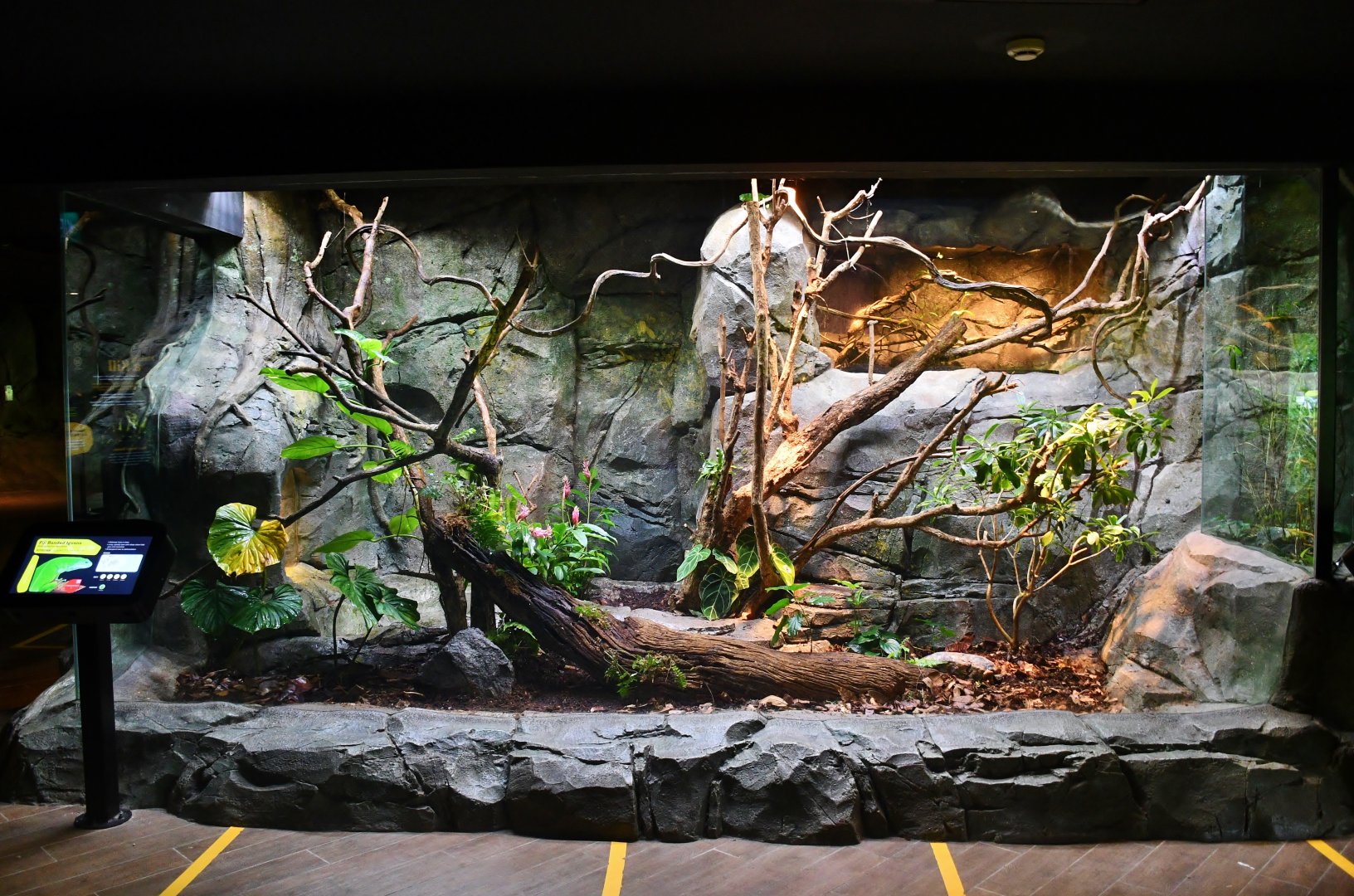 Reptopia - Asia-Pacific exhibit