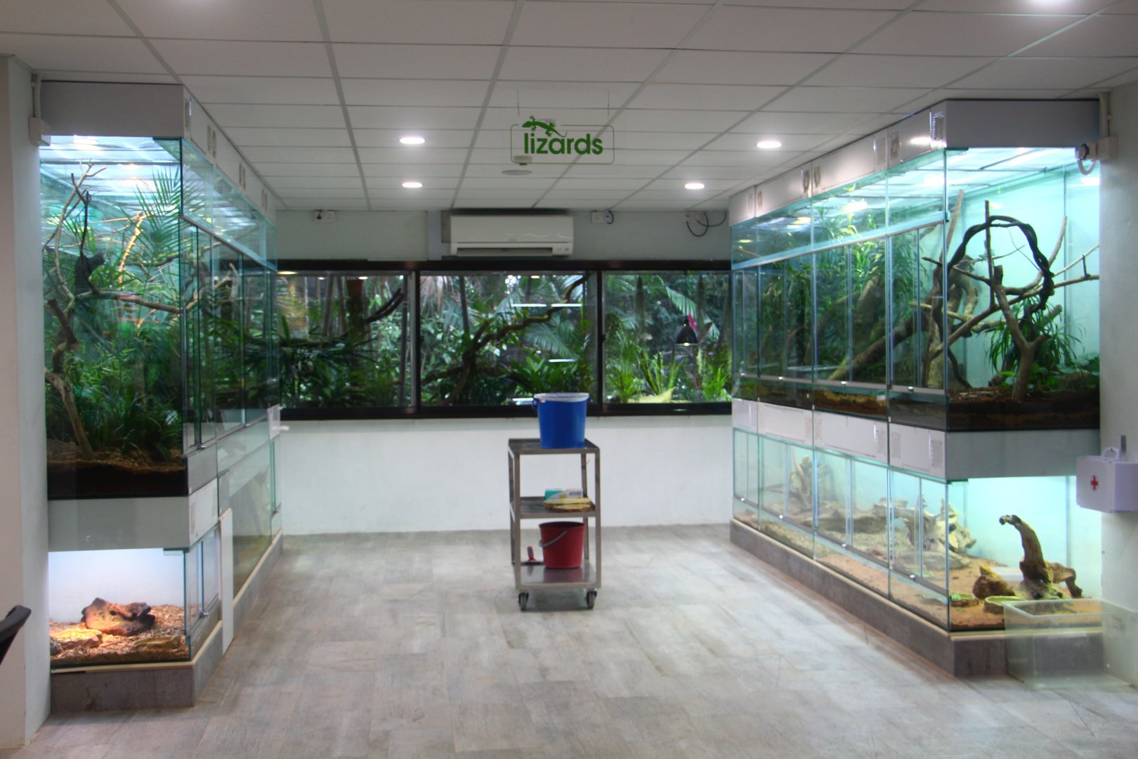 RepTopia - Behind-the-scenes