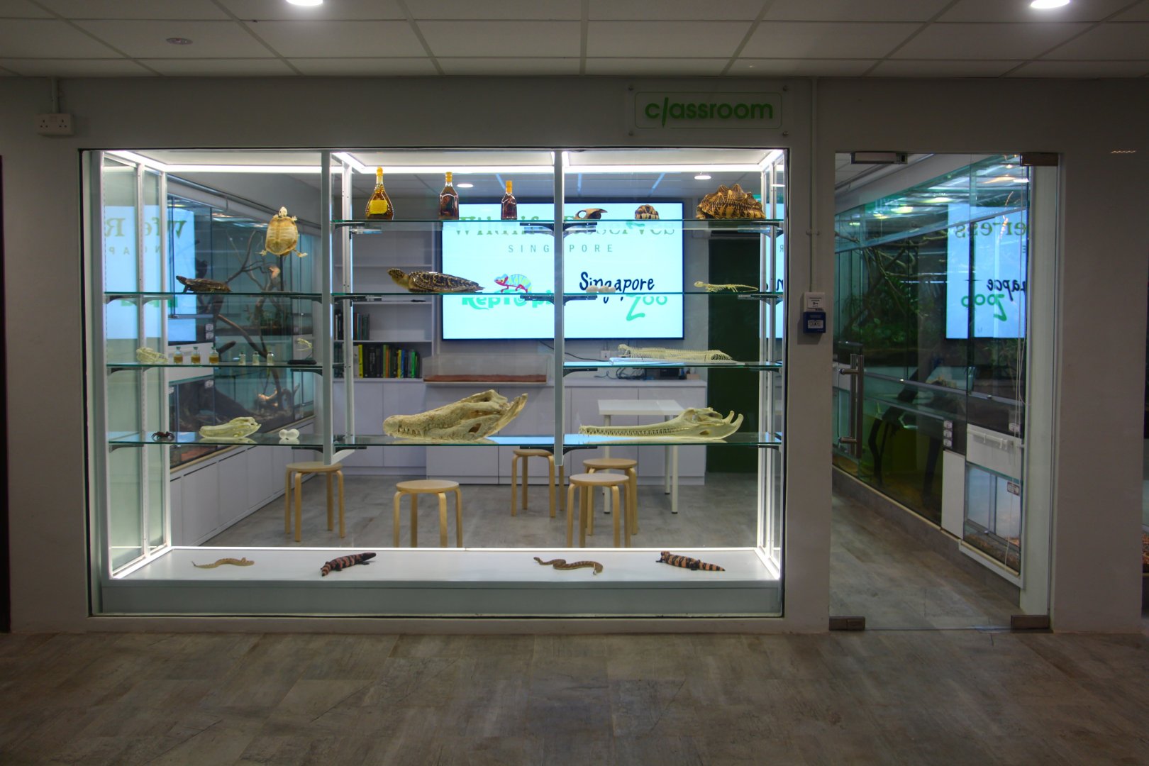 RepTopia - Behind-the-scenes