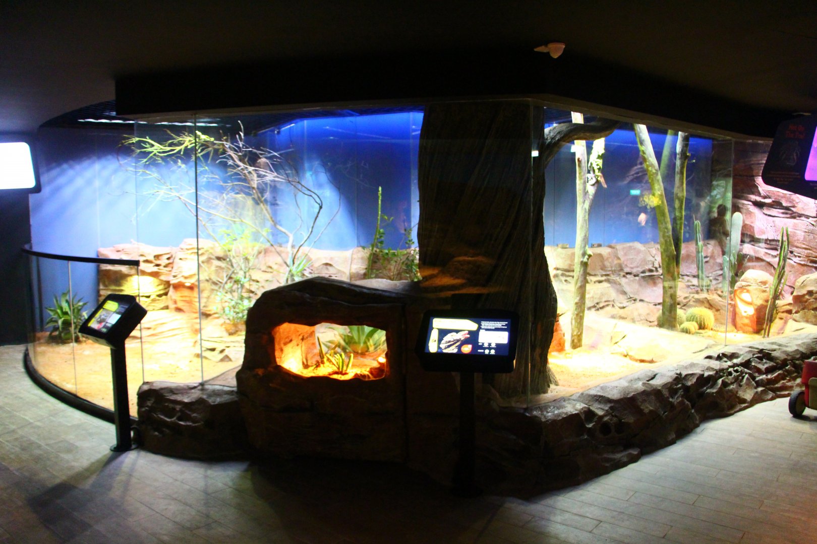 RepTopia - Deserts of the World