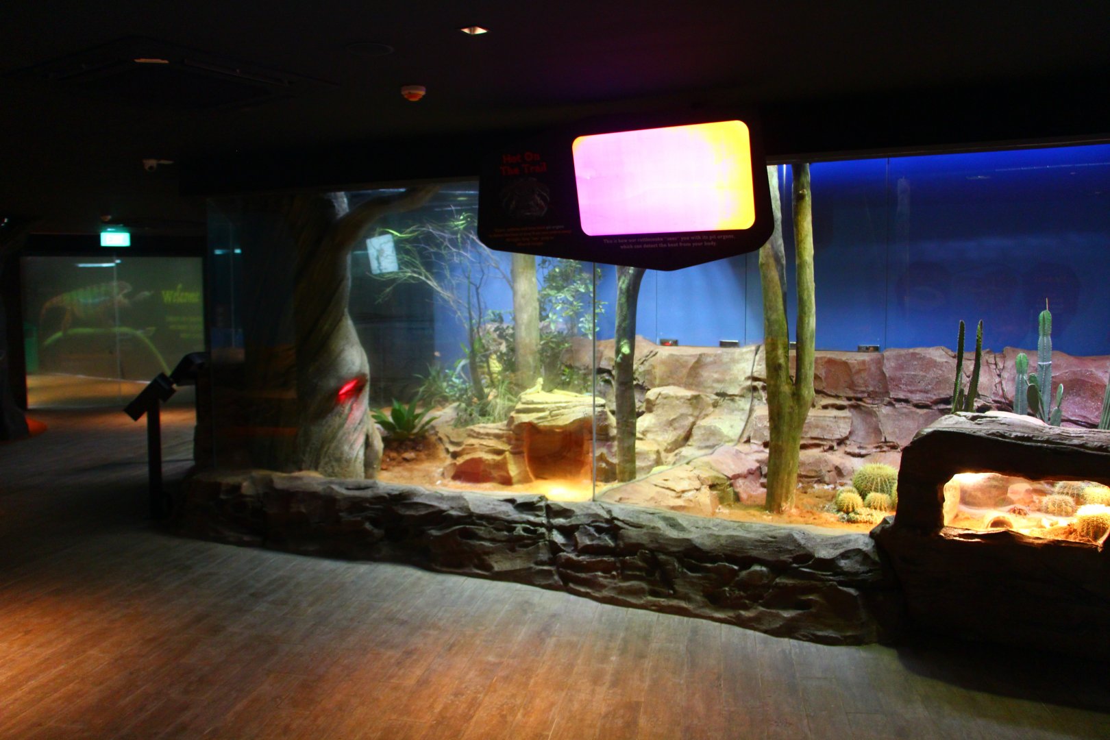 RepTopia - Deserts of the World