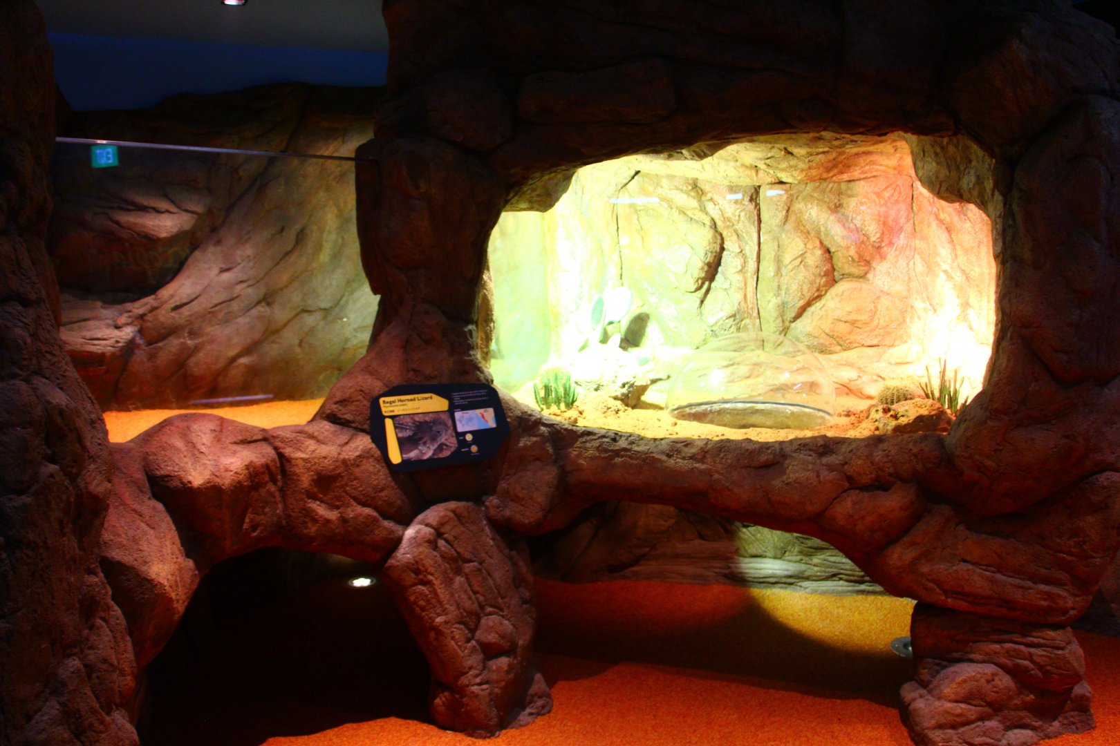 RepTopia - Deserts of the World