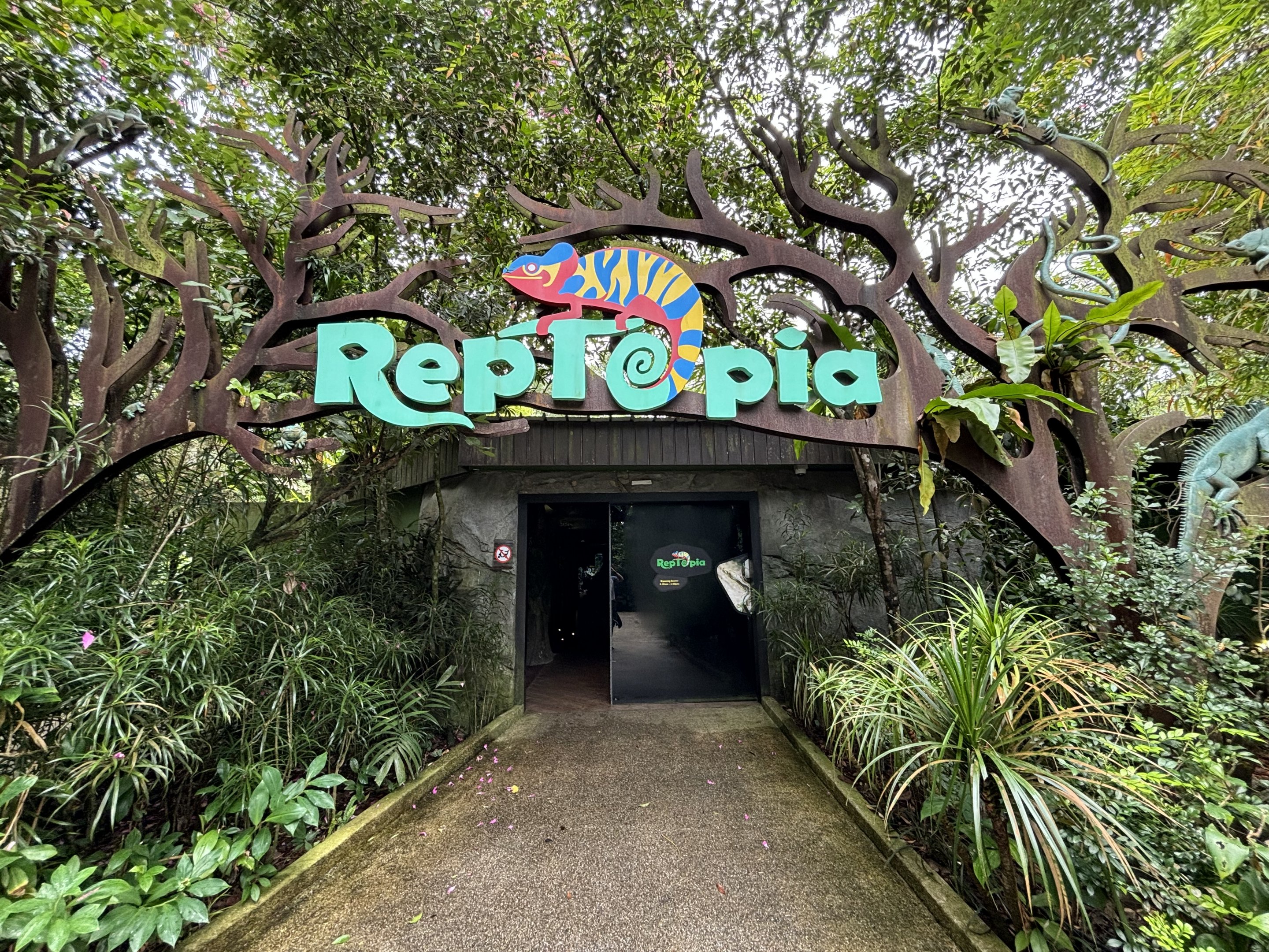 Reptopia entrance zone