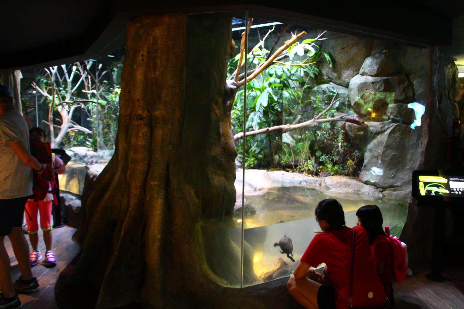 RepTopia - Indo-Pacific