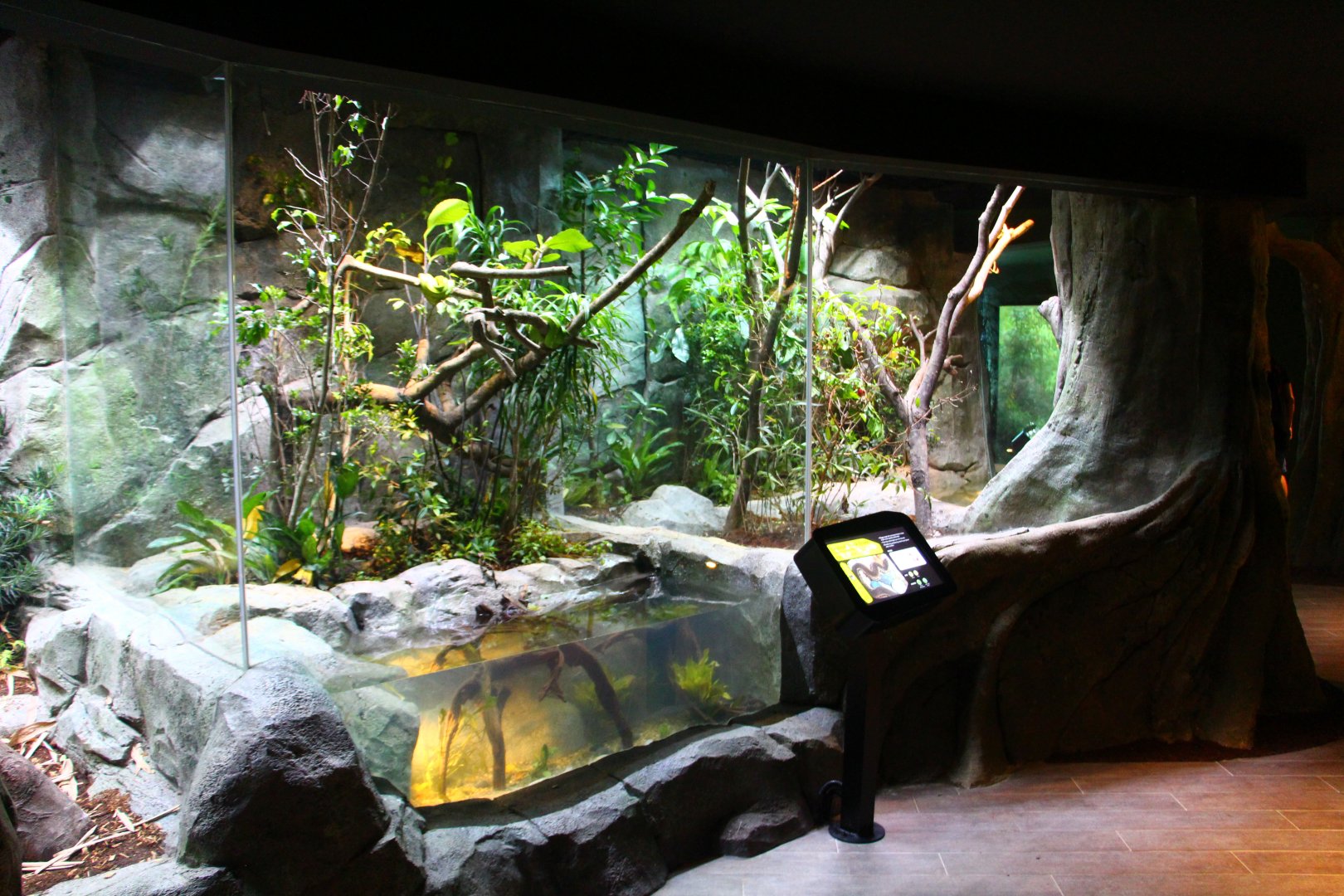 RepTopia - Indo-Pacific