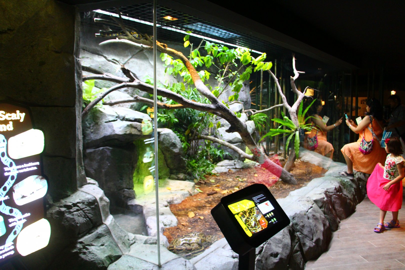 RepTopia - Indo-Pacific