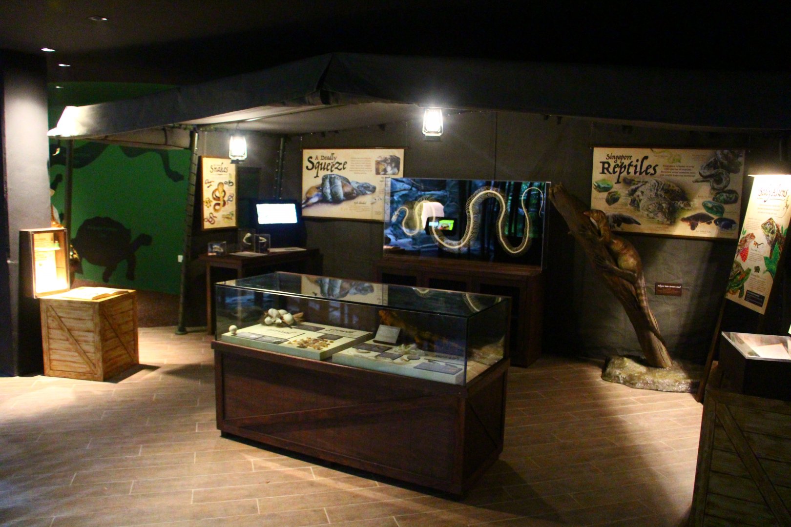 RepTopia - Interpretive area