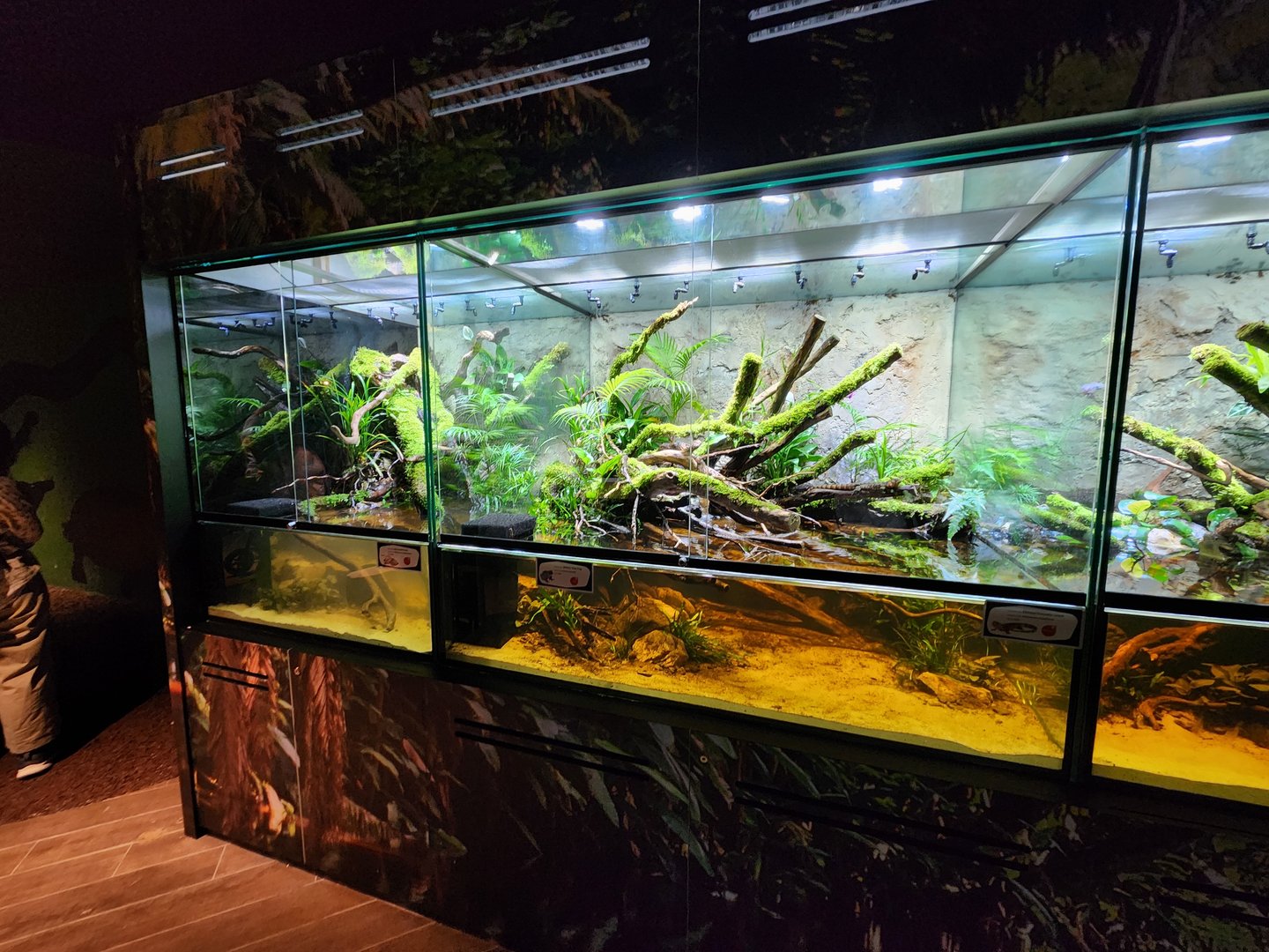 Reptopia paludariums