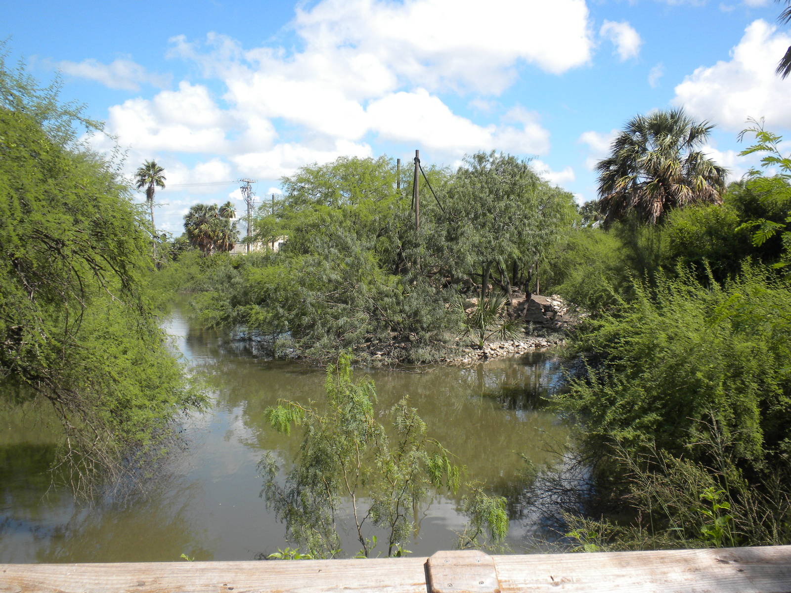 Resaca and Spider Monkey Island