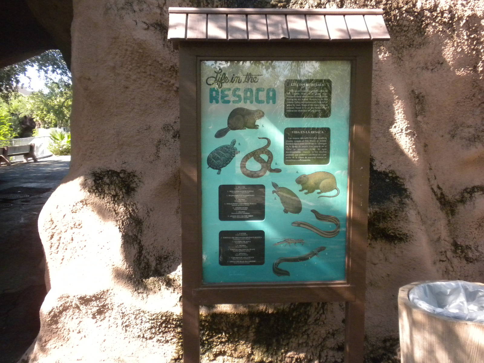 Resaca wildlife sign