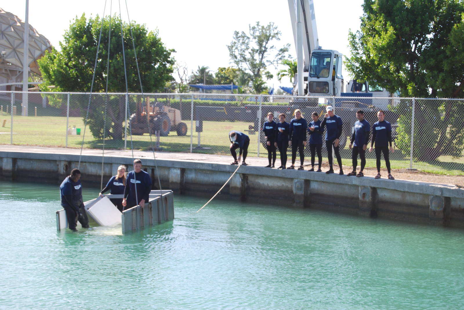 Rescue and Rehabilitation of Florida Manatees