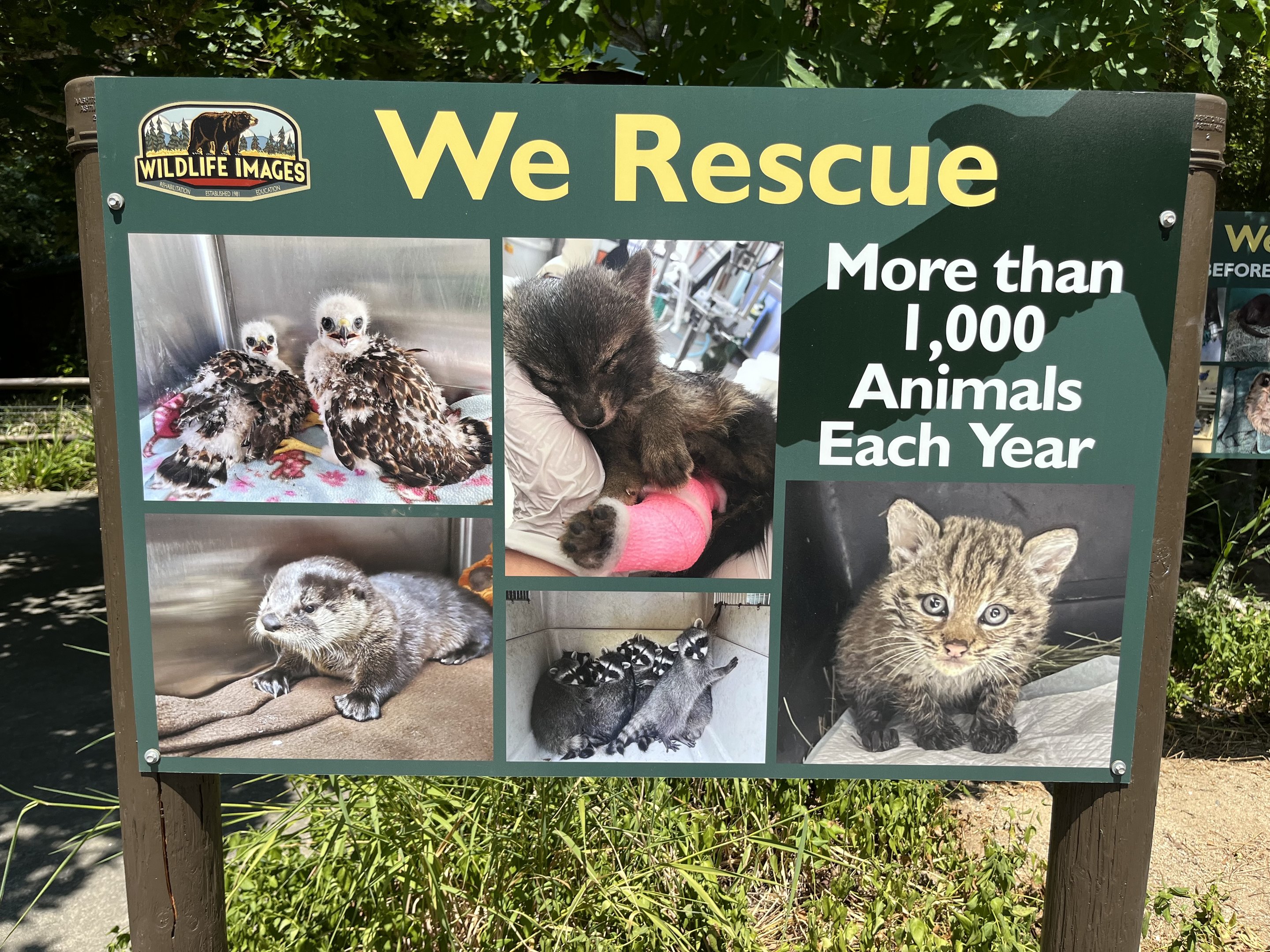 Rescue Sign