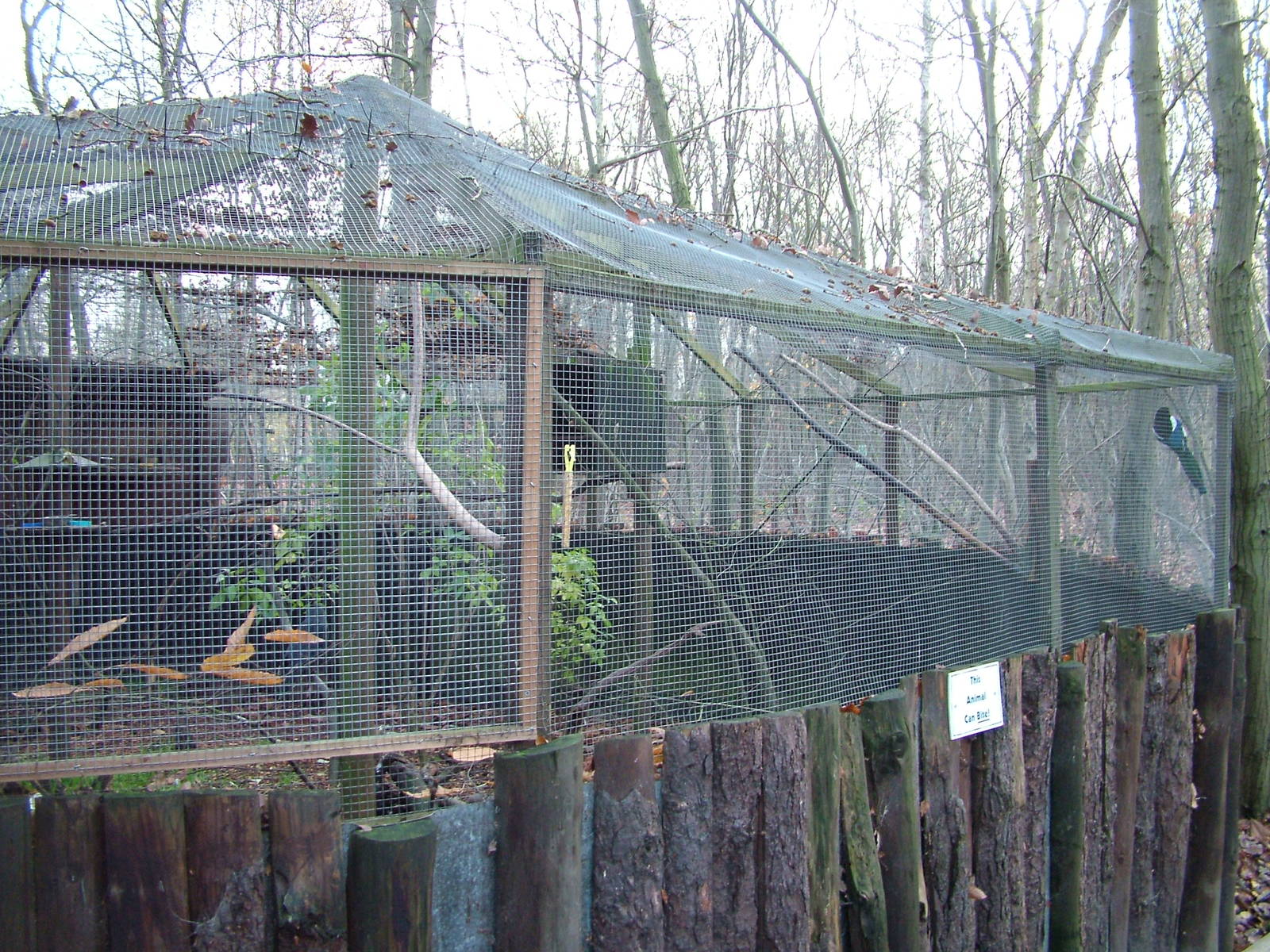 Rescued Corvid exhibit at Wildwood 28/11/09