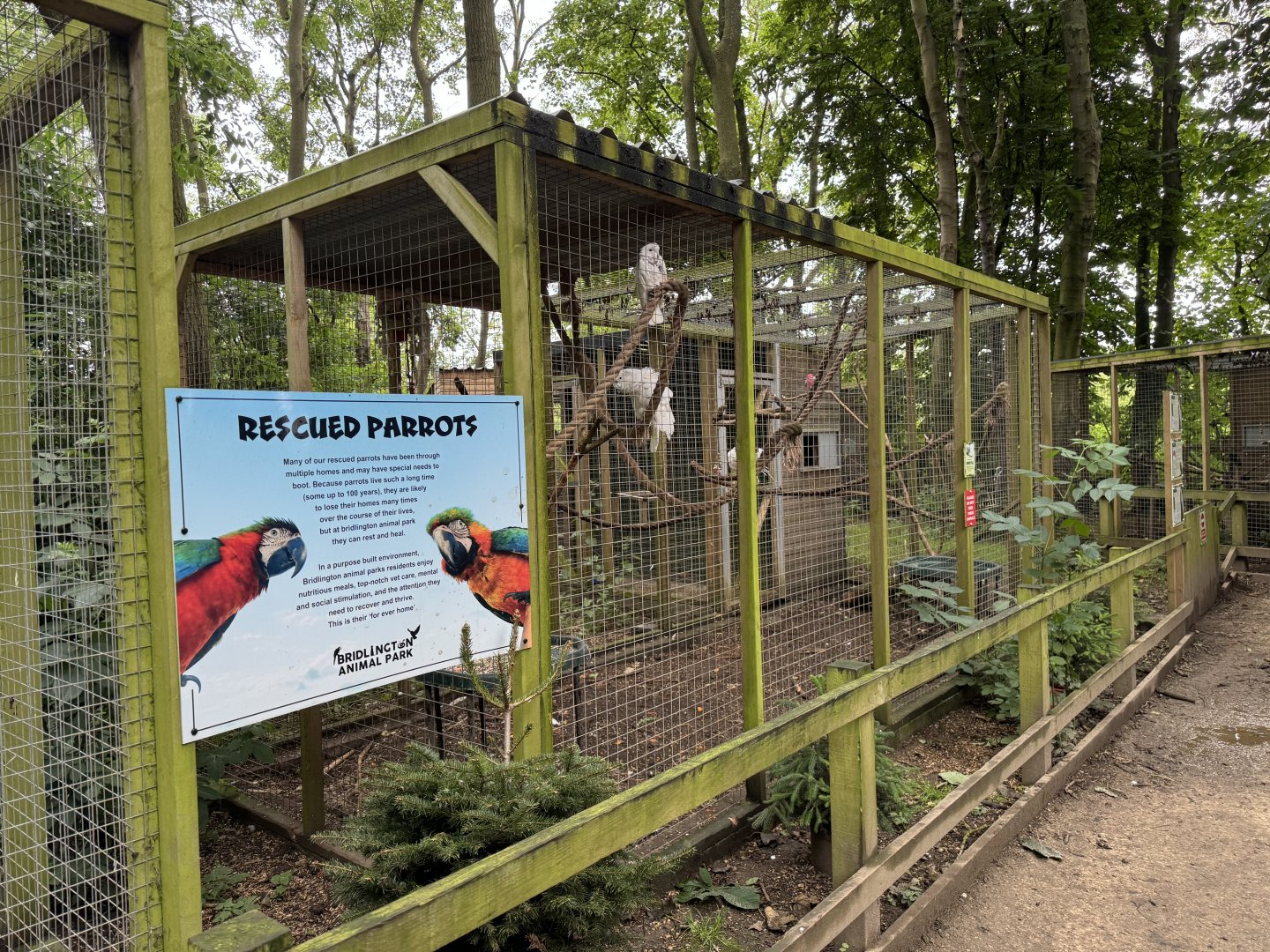 Rescued Parrot Aviaries at Bridlington Animal Park (July 2024)