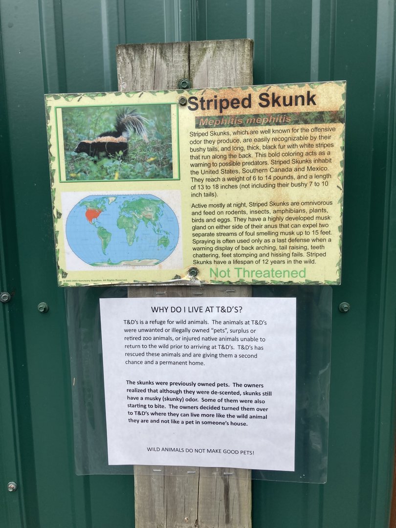 Rescued Skunk Signage