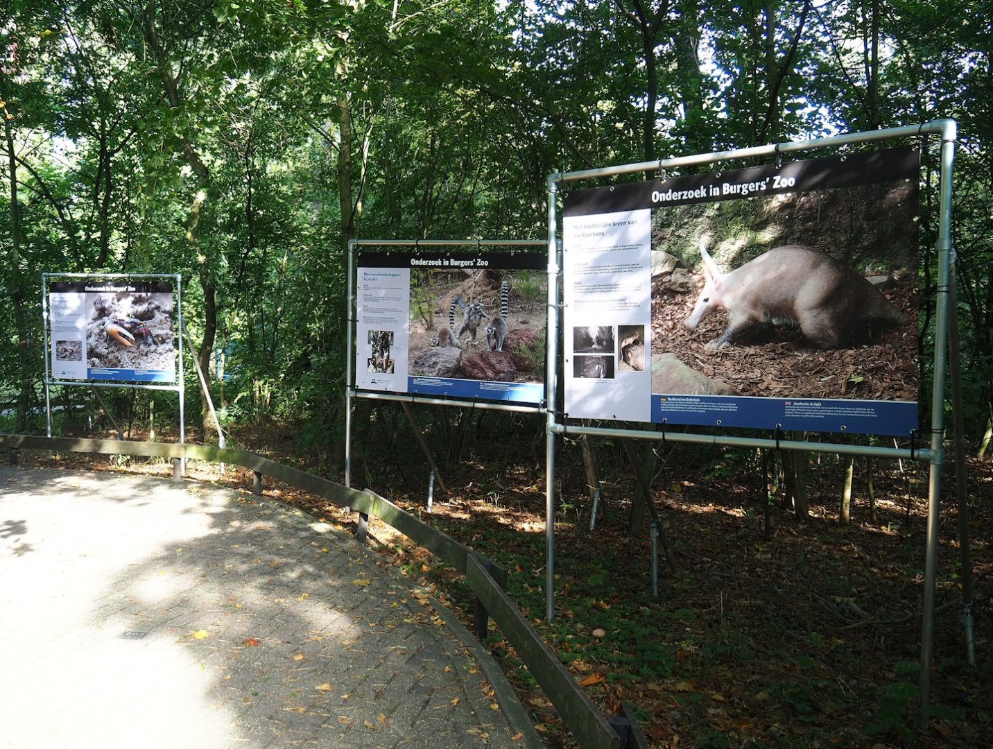 Research at Burgers' Zoo photo exhibition next to Safari access road, 2023-10-07
