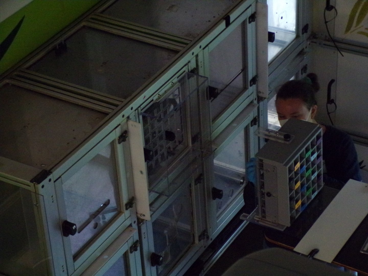 Research being conducted in Living Links 15.7.24