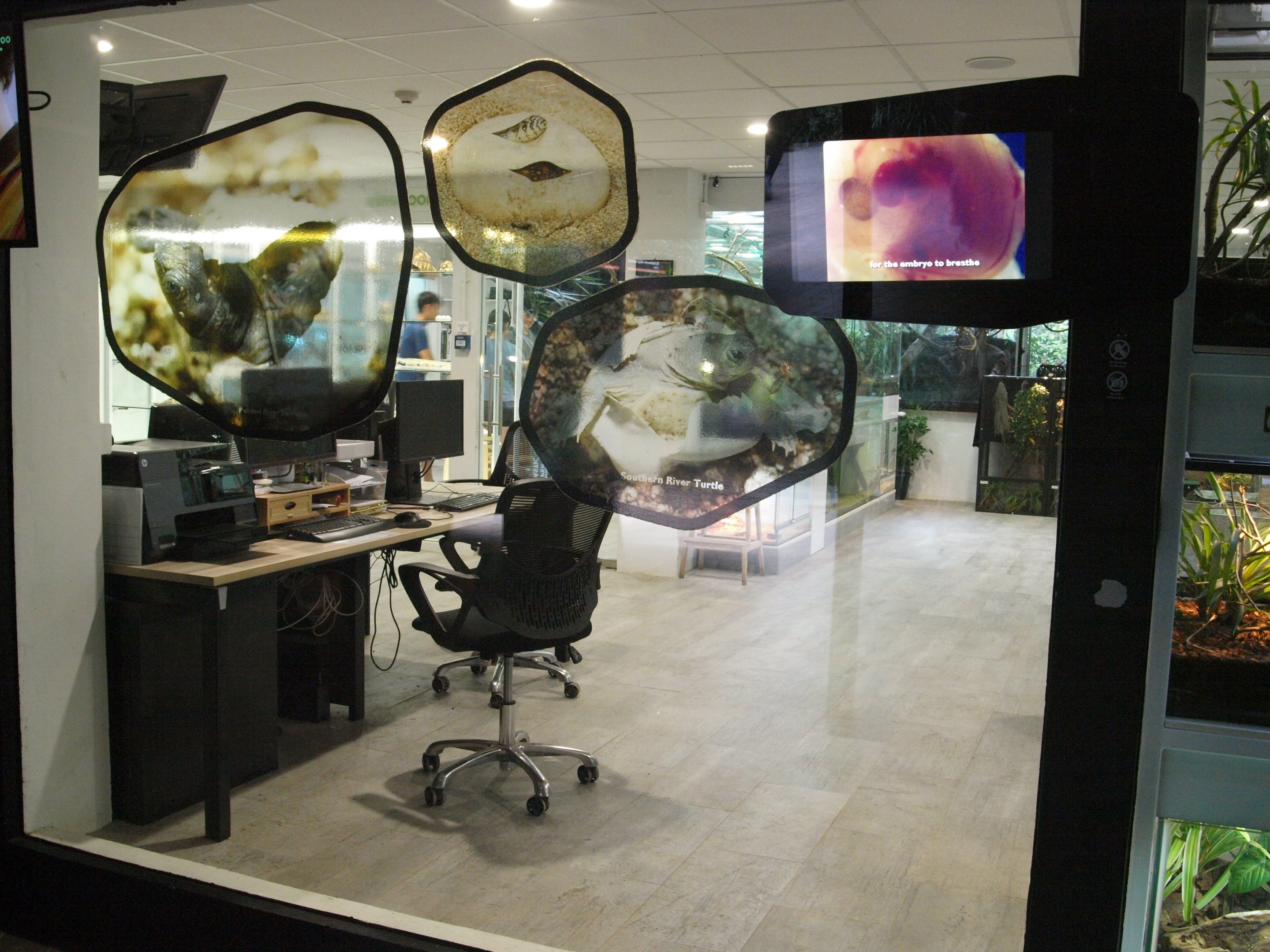 research & preparation area