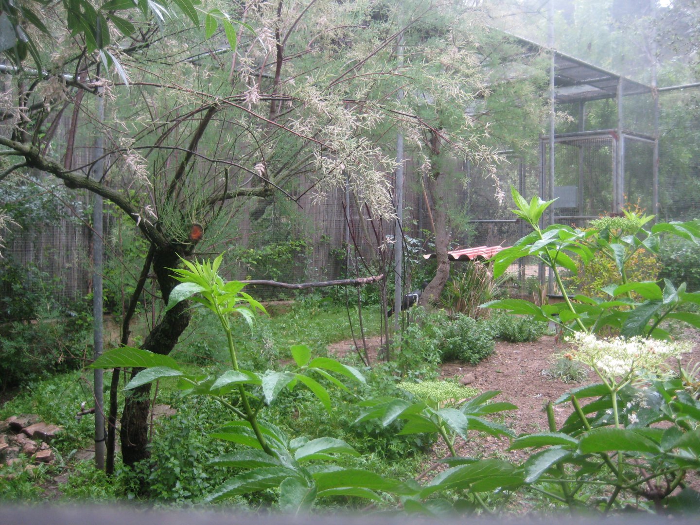 Reserve Africaine de Sigean - African aviary #1