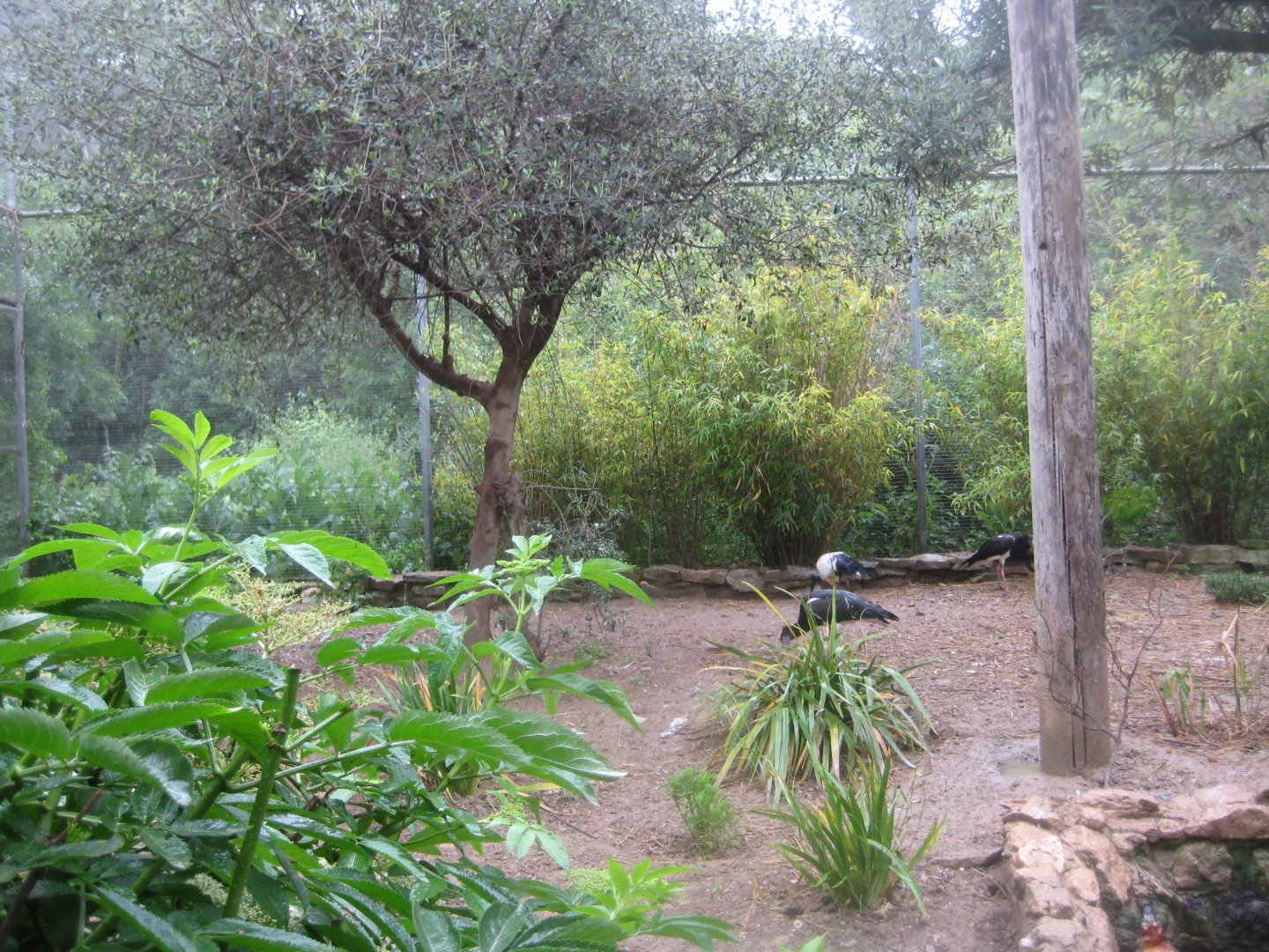 Reserve Africaine de Sigean - African aviary #1