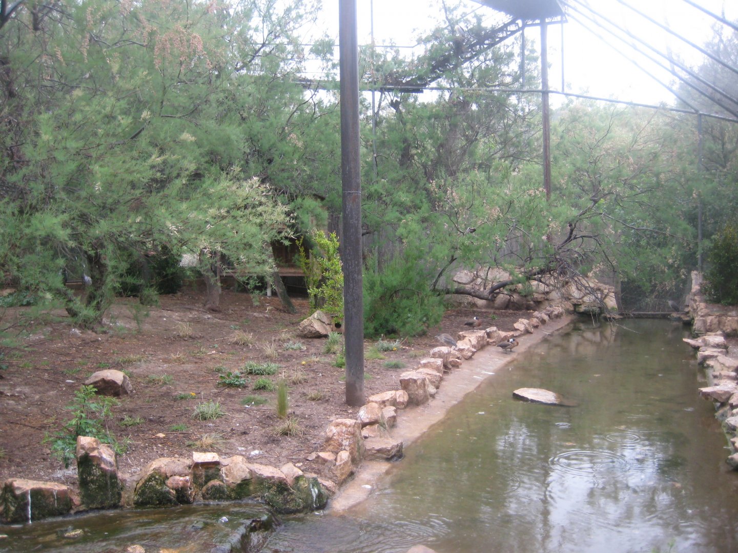 Reserve Africaine de Sigean - African aviary #2
