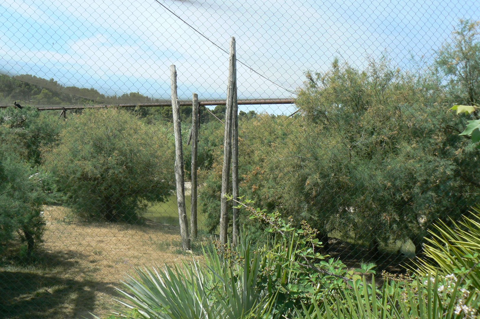 Réserve africaine de Sigean - African giant walkthrough aviary from outside