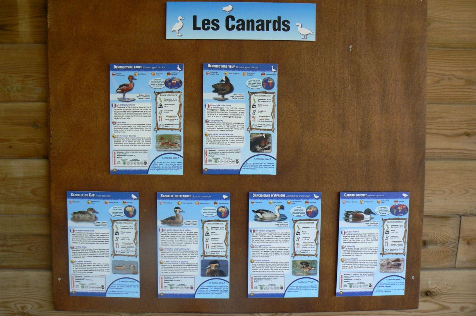 Réserve africaine de Sigean - African giant walkthrough aviary - Species panels