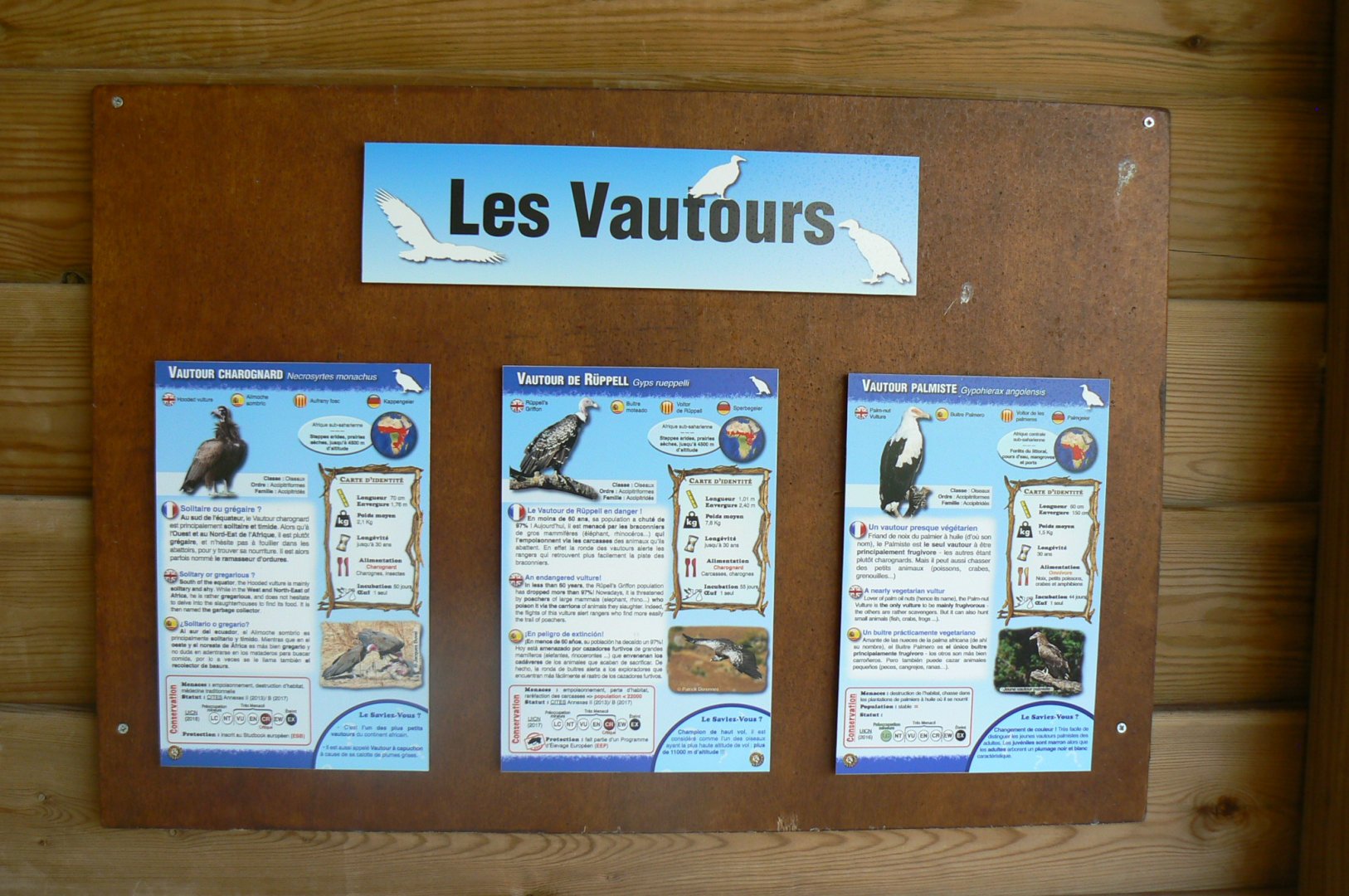 Réserve africaine de Sigean - African giant walkthrough aviary - Species panels