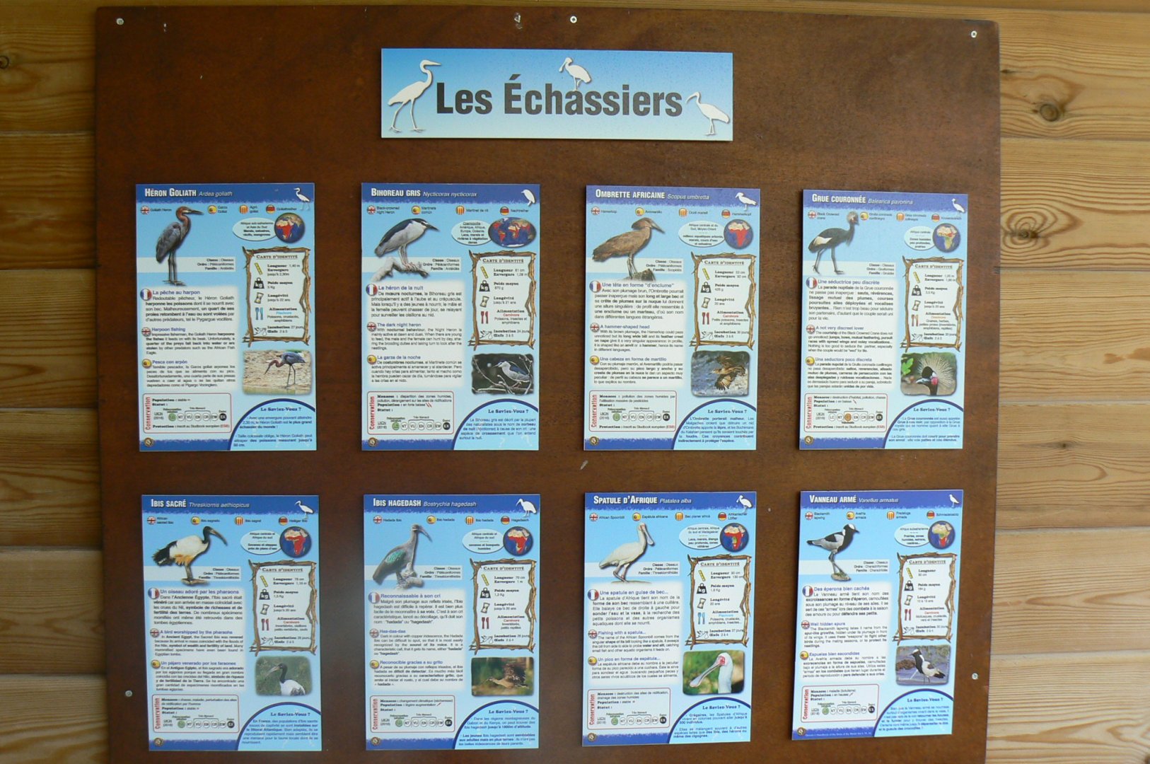 Réserve africaine de Sigean - African giant walkthrough aviary - Species panels