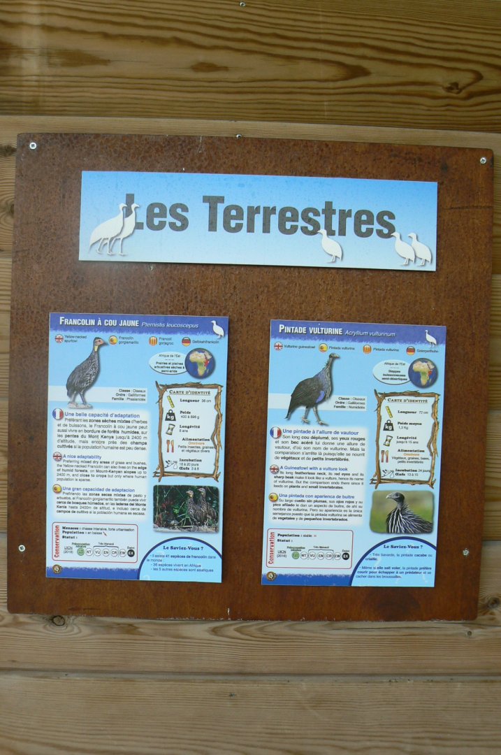 Réserve africaine de Sigean - African giant walkthrough aviary - Species panels