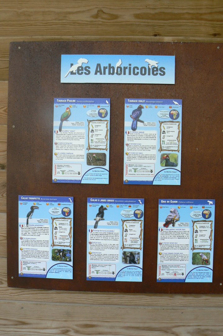 Réserve africaine de Sigean - African giant walkthrough aviary - Species panels